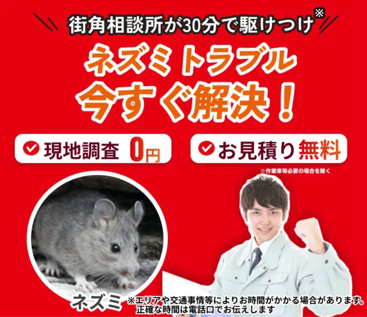 街角害獣駆除相談所公式サイトのファーストビュー（ネズミトラブル 今すぐ解決）